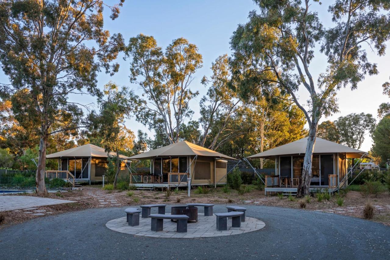Discovery Parks - Barossa Valley 타눈다 외부 사진
